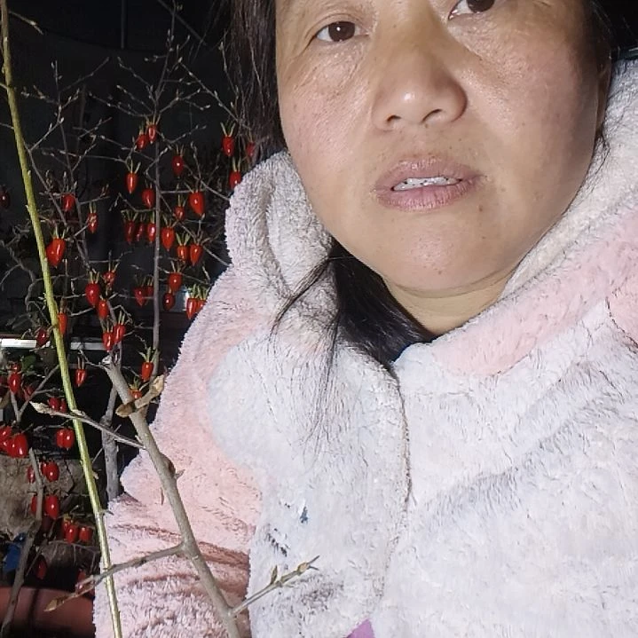 老***哥无花朵455425457888