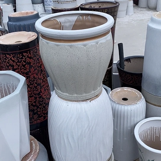 黄南瓜中口31/32福利