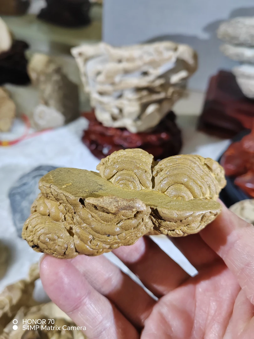 恩施云锦石黄花浮雕手把件