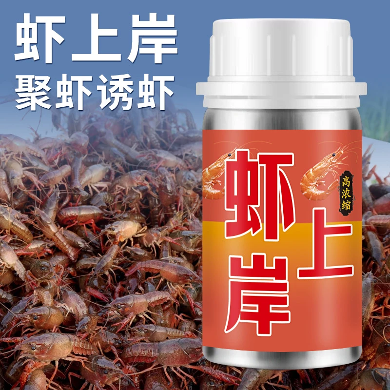 虾上岸钓鱼产品渔具鱼饵料打窝料添加剂钓虾诱虾饵粉末主播款