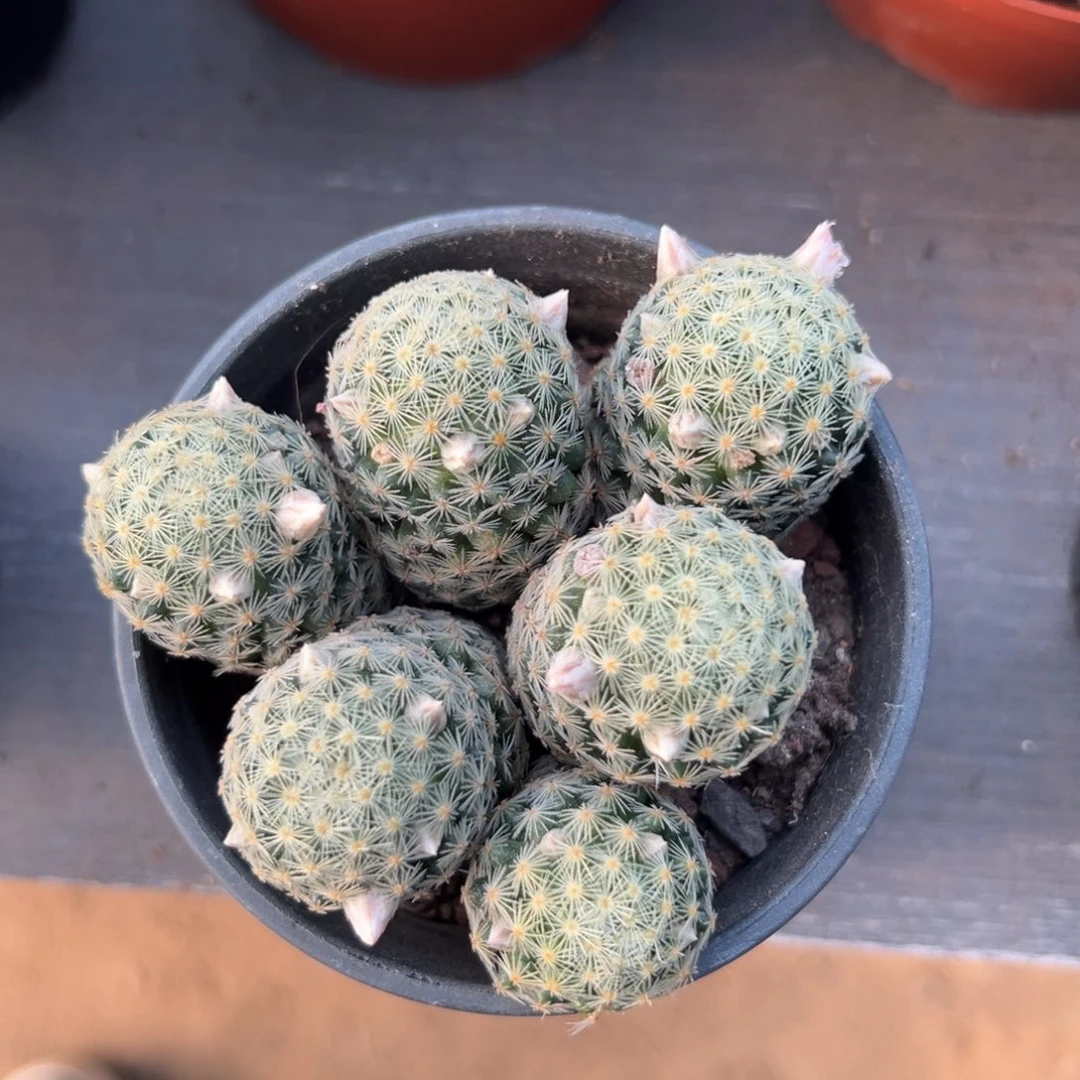 留***事0。 零零落落 零零落落