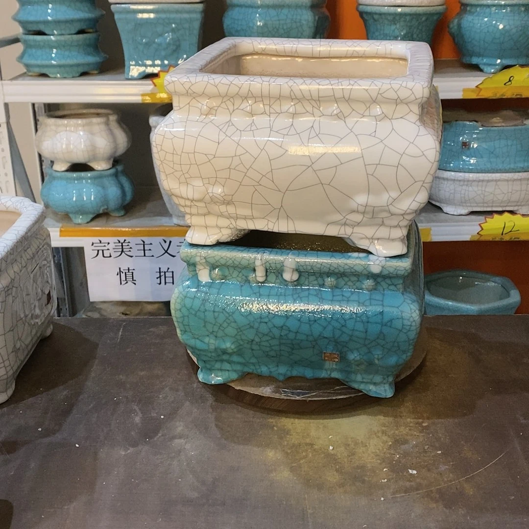 平**心花盆里的小猫咪