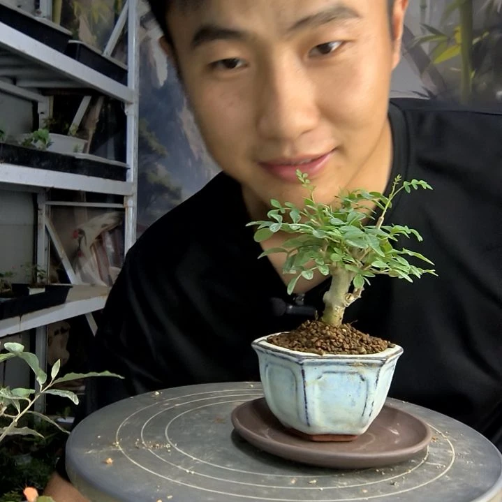 7****E中青园艺一物一拍60