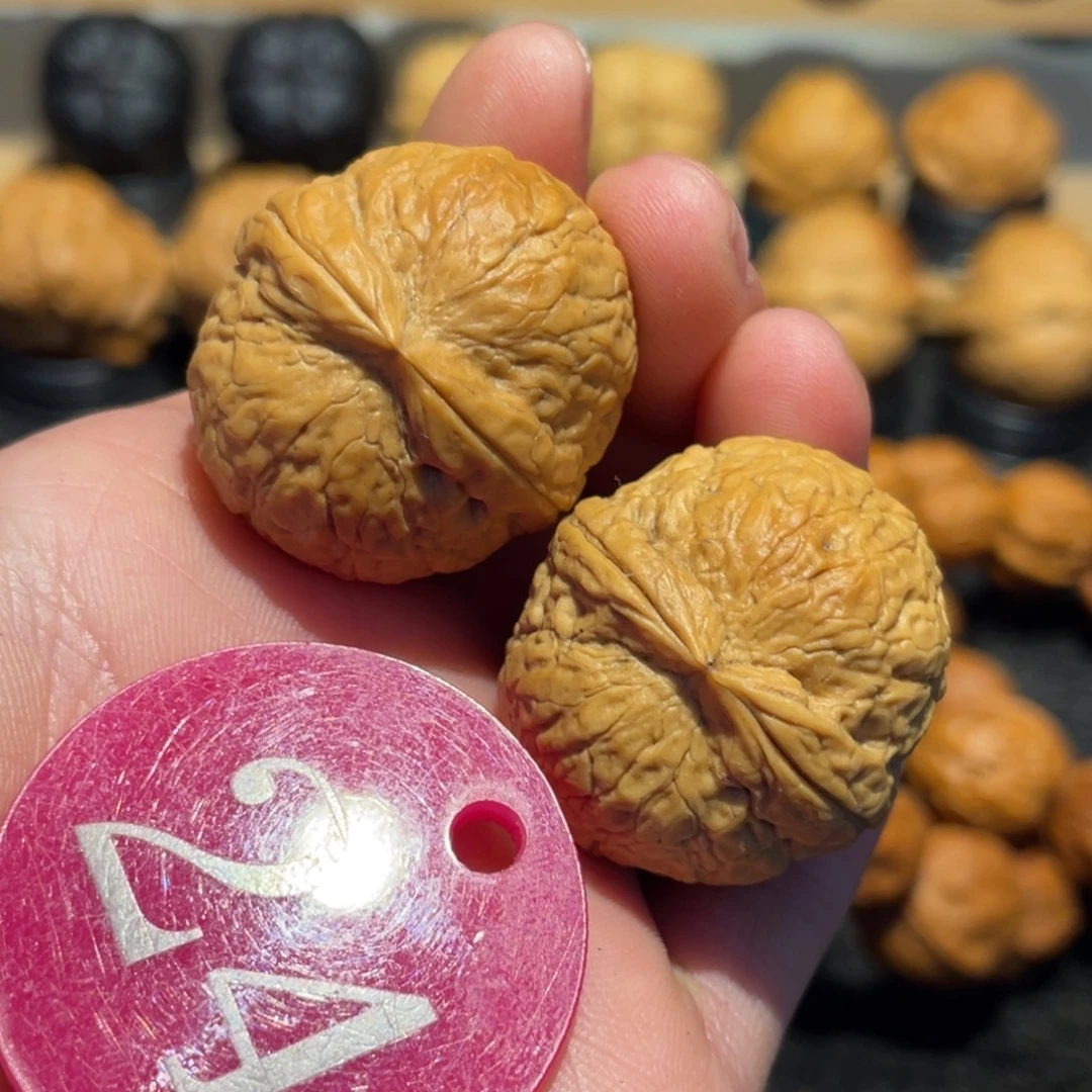 哪吒魔丸微彩31。