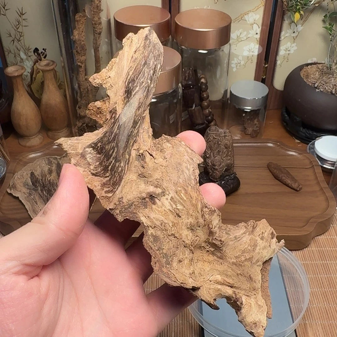 一***鸠沉香16g芽庄都蓬根部