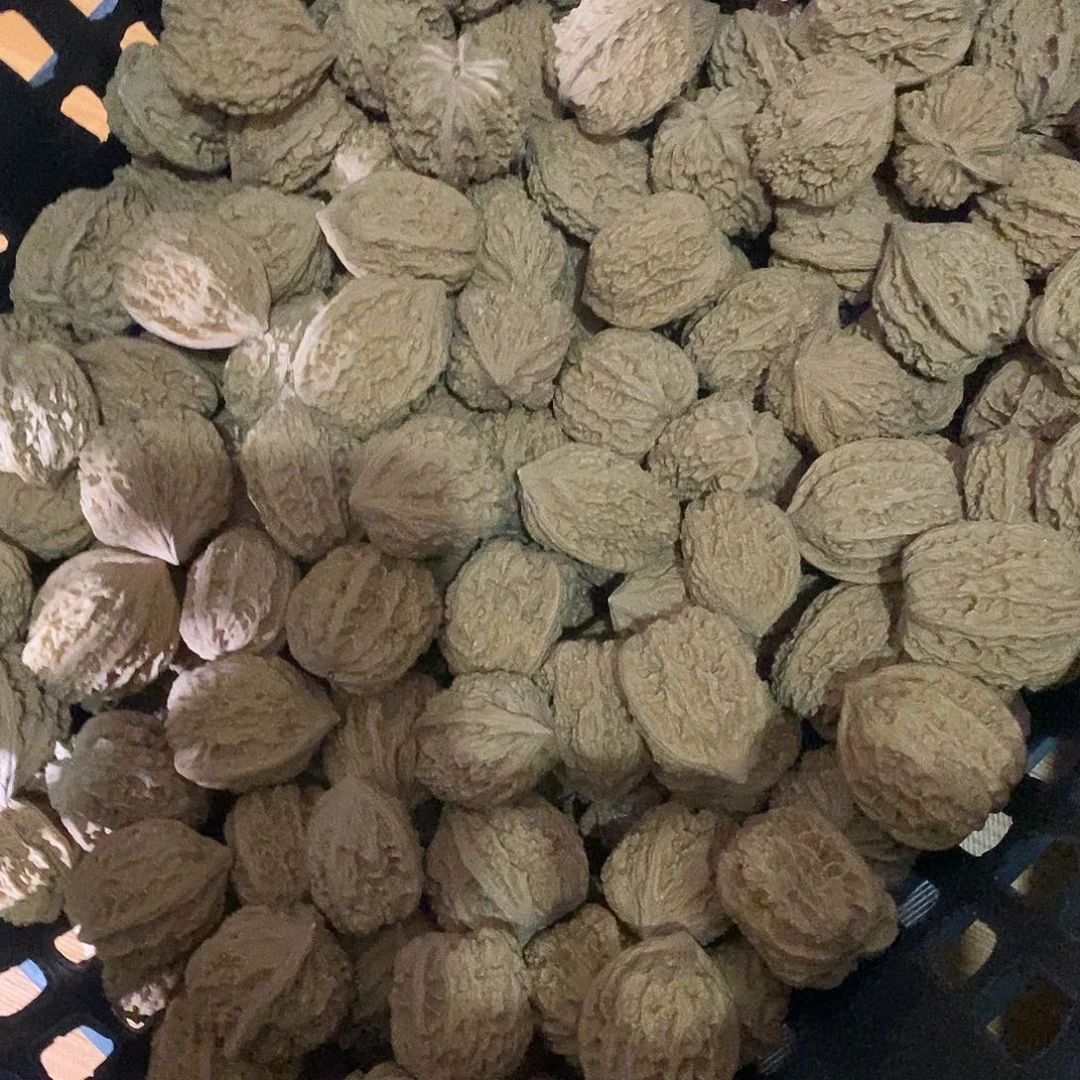 桃核把件按****仔鸡心30