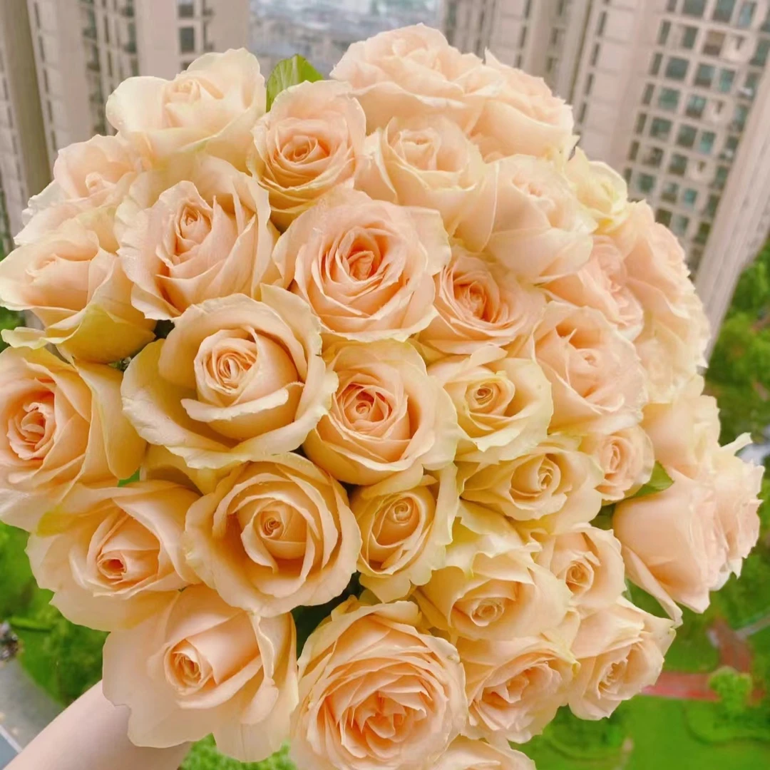 A5【艾莎 香槟 香水百合 橙芭比 洋桔梗 多头康乃馨 黄莺草】