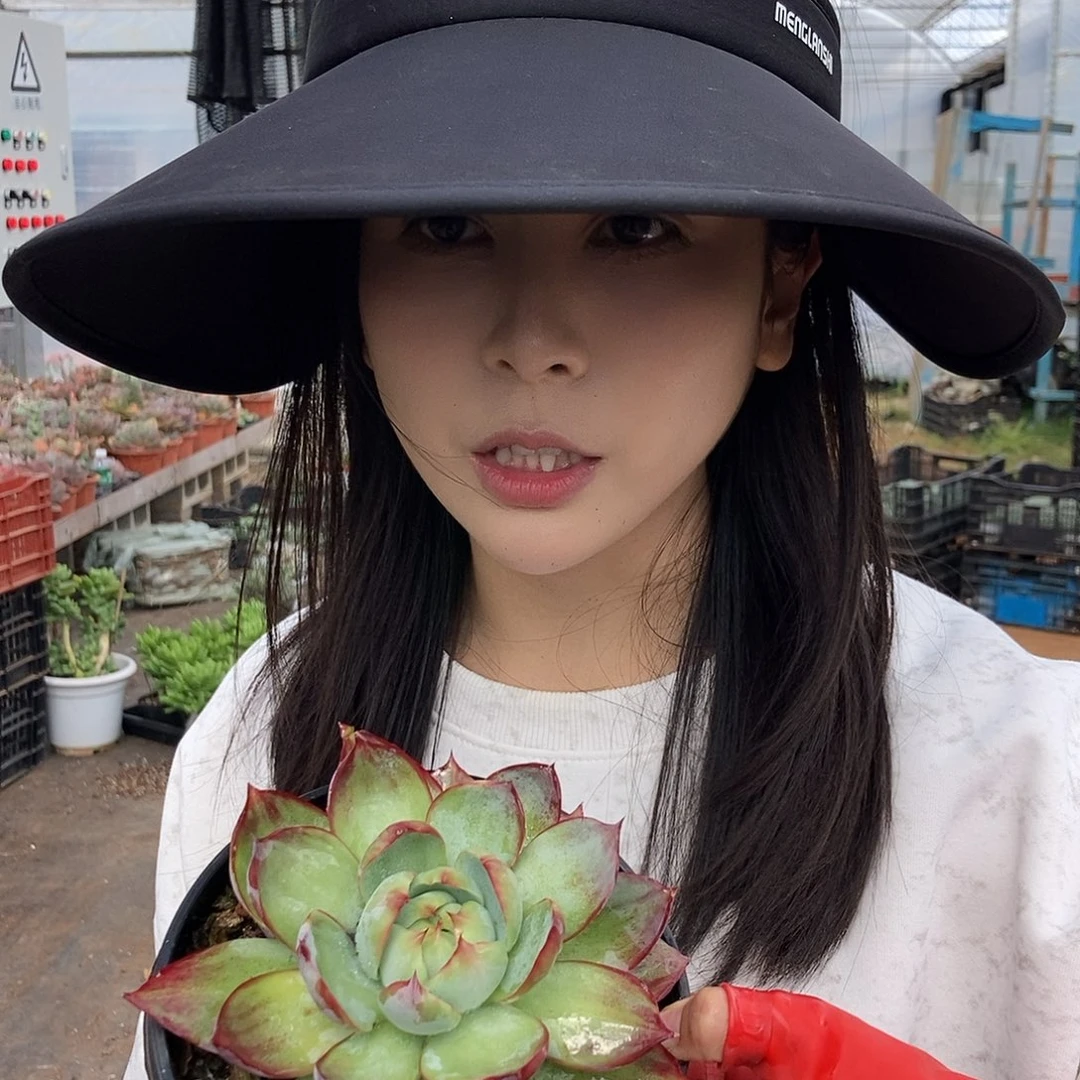 12-8惊鸿单头不同个体随机