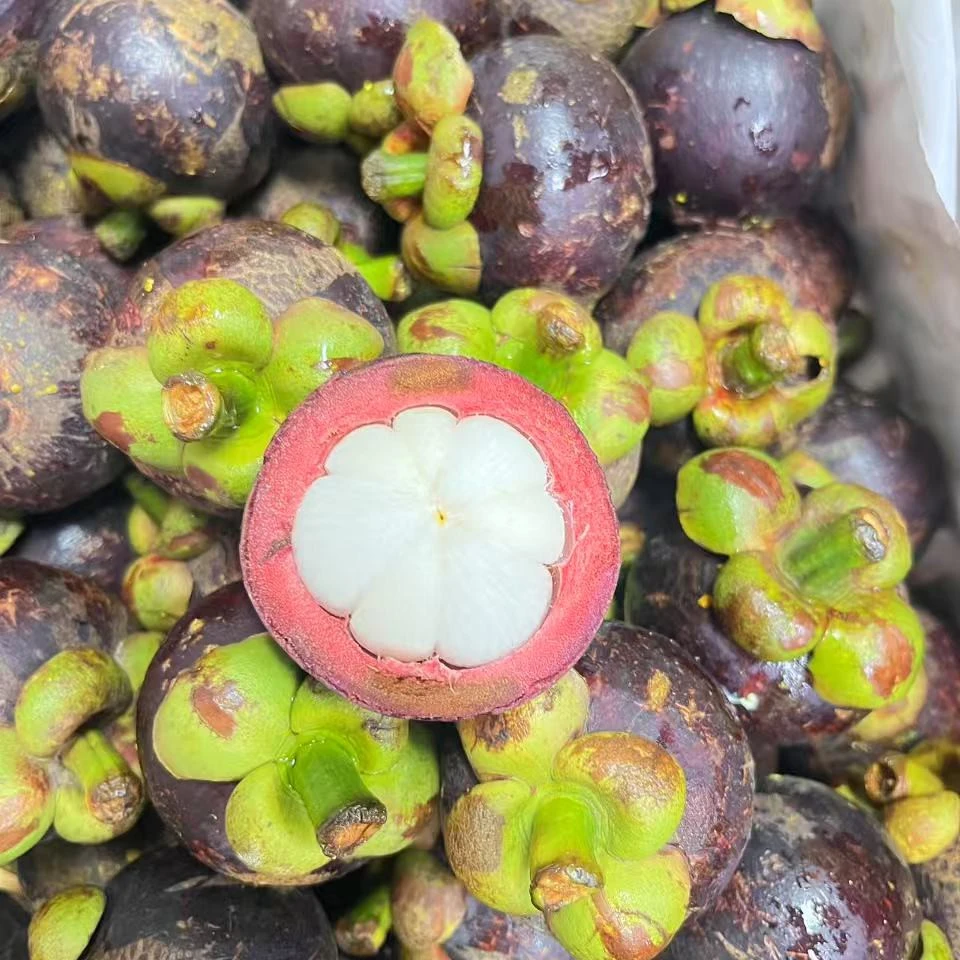 ［西西福利］新鲜山竹25.8/斤