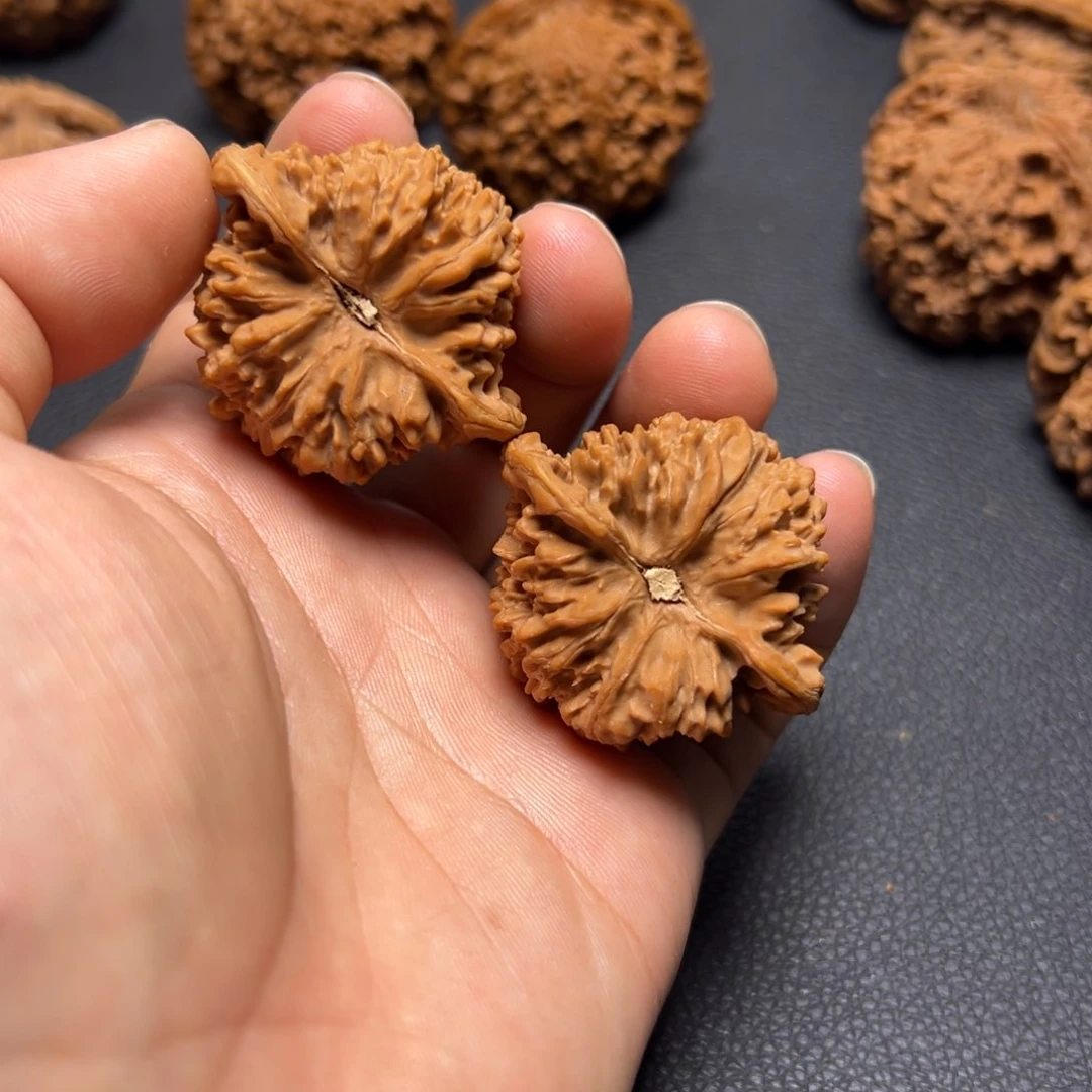 核桃把件贰*40.5全品满天星