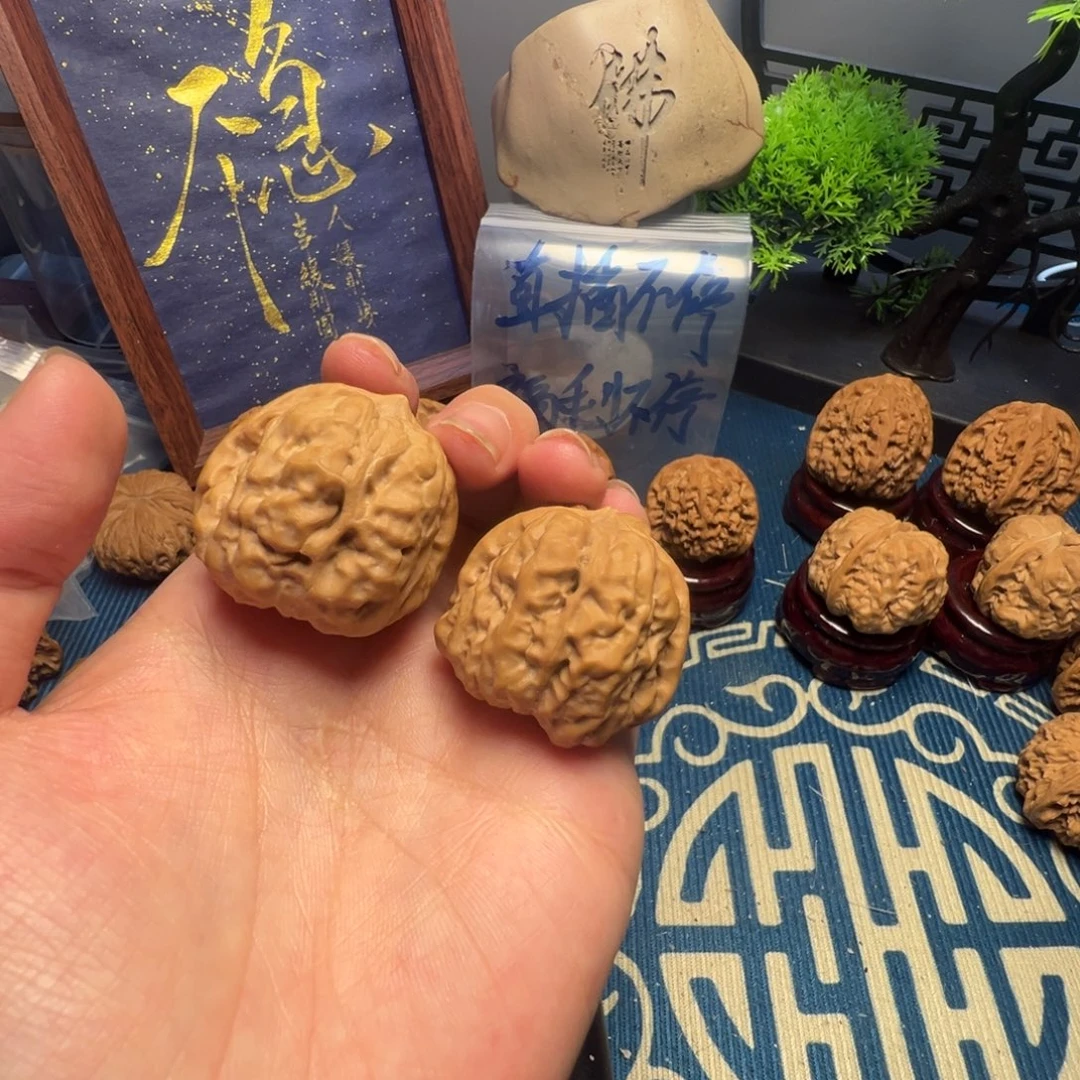 36尺白茬蛤蟆头核桃