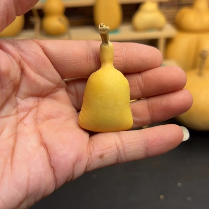 N**c葫芦葫芦葫芦葫芦葫芦葫芦