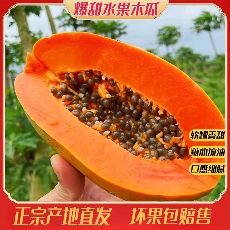 正宗广东冰糖红心木瓜下应当季青皮木瓜牛奶木瓜新鲜水果整箱批发