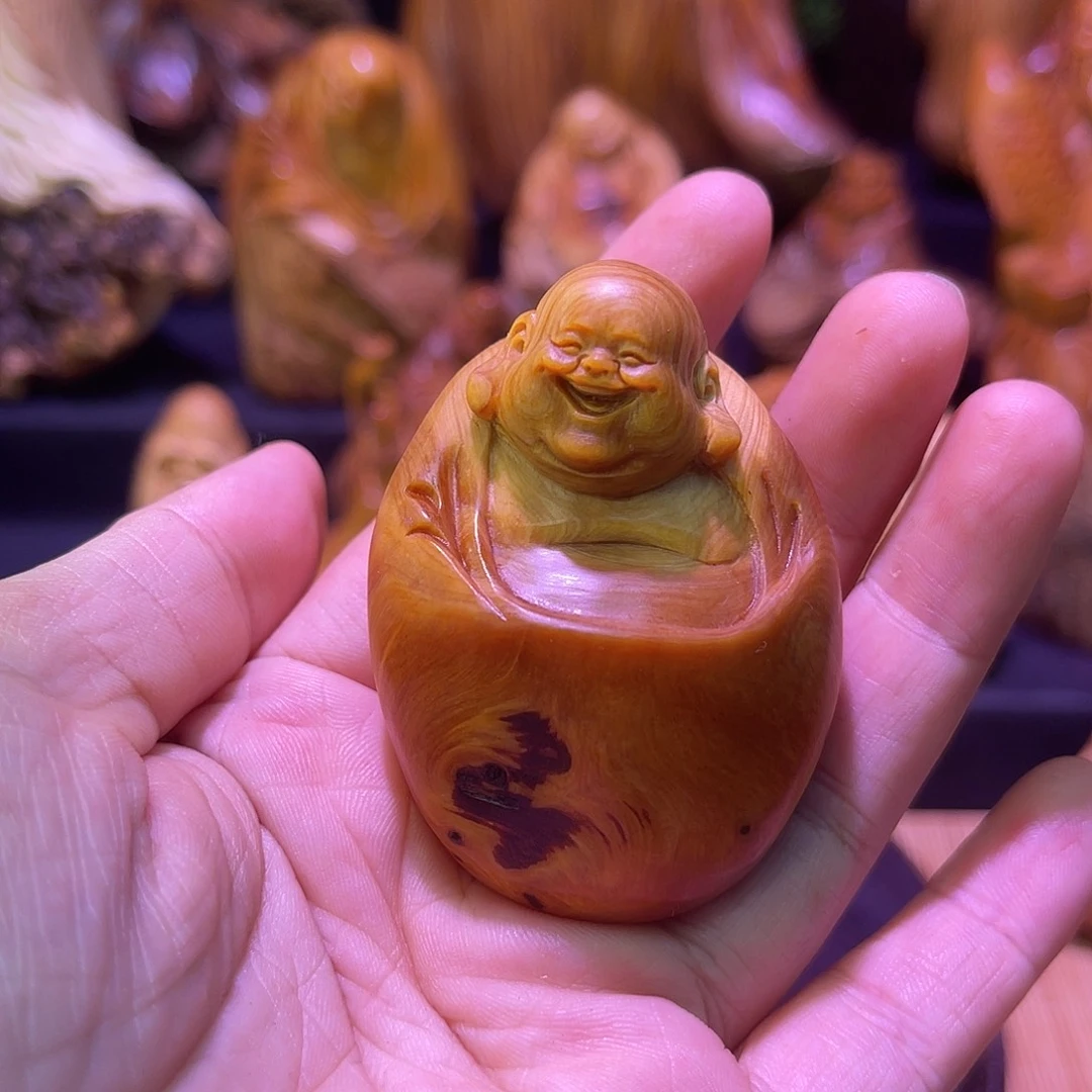 柏木8888888888888888888