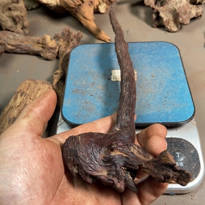 黄花梨/降香黄檀诚*