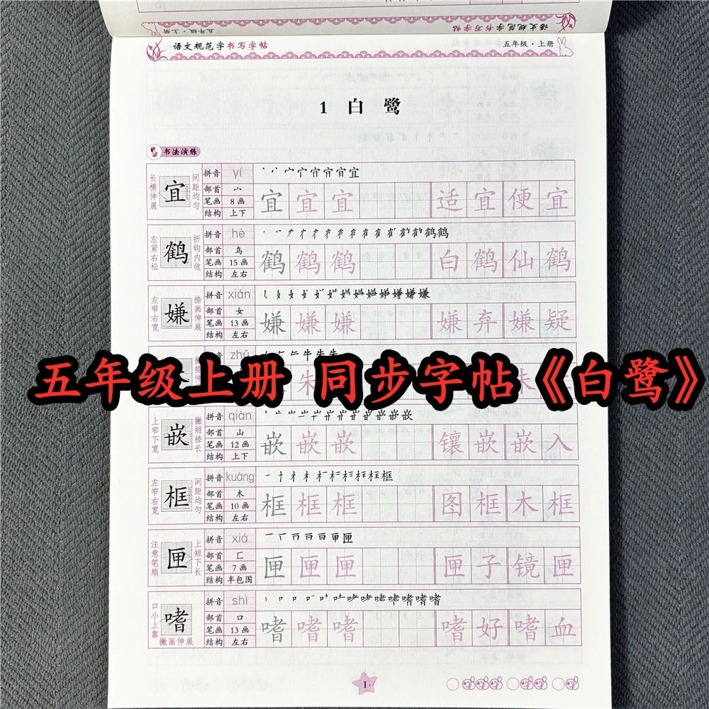 五年级上册语文同步字帖人教版语文规范字书写字帖五年级写字训练