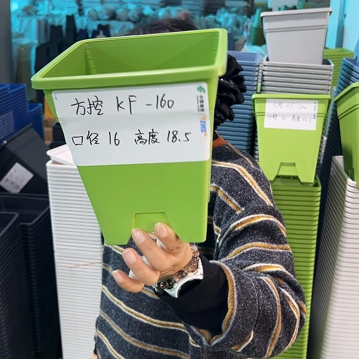 正品方盆口16高18果绿无托5只