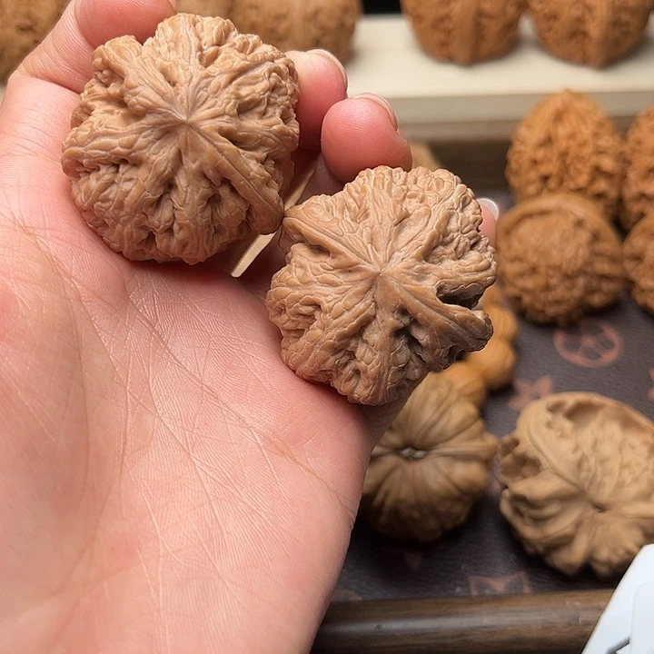 核桃39全品粗筋福利对