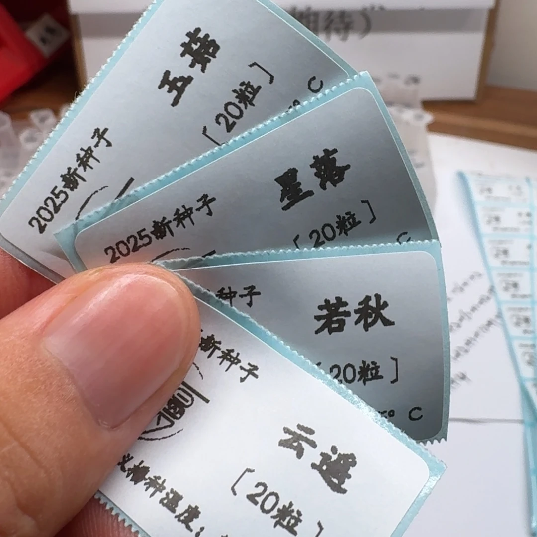 如图2025新种子20粒一份