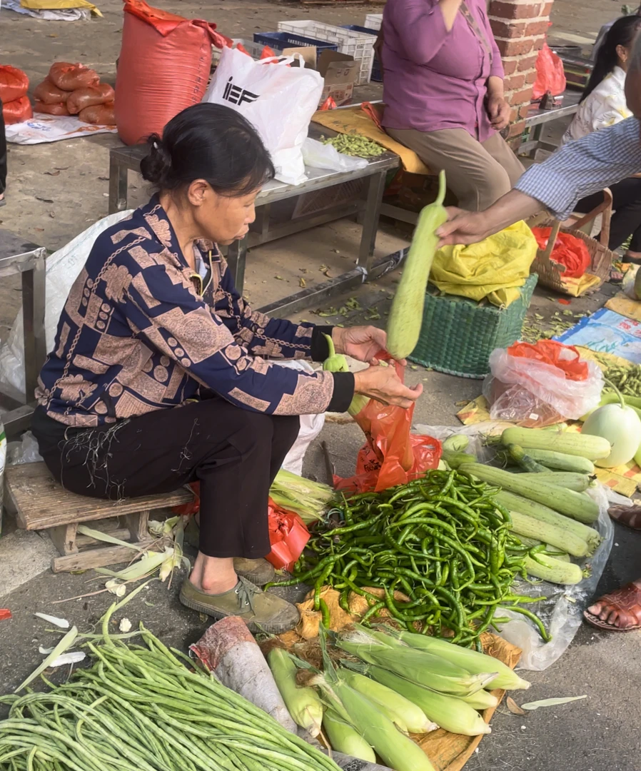 （赣南乡货）江西赣南 新鲜蔬菜土特产当地干货合集