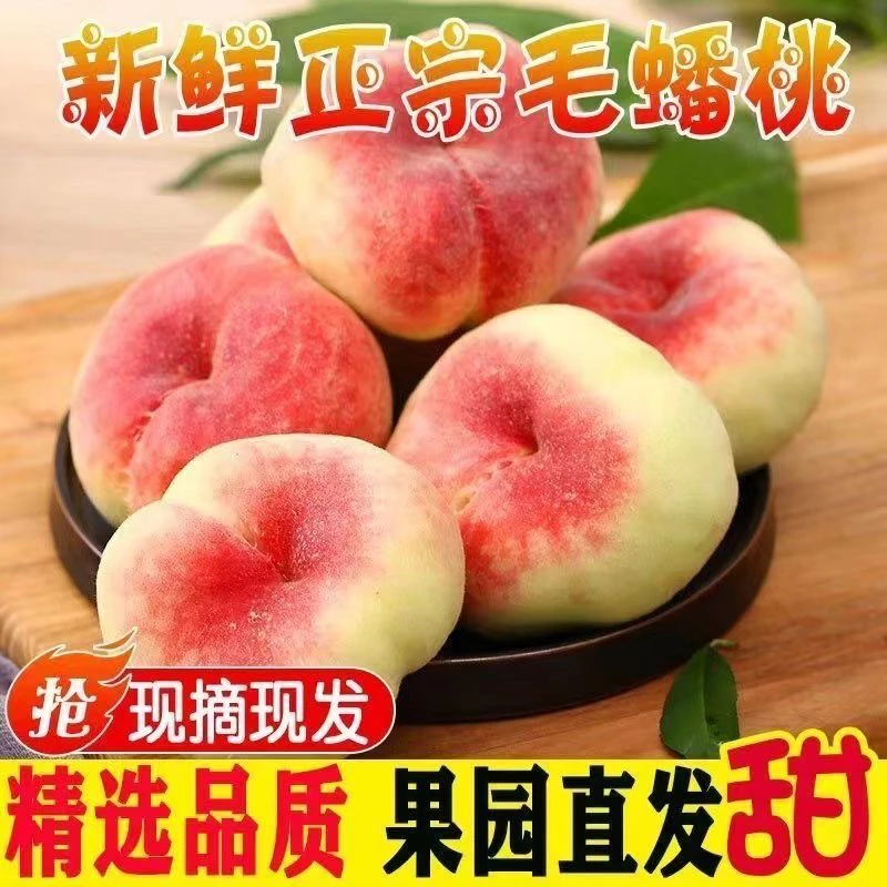 现货蟠桃正宗新鲜毛蟠桃纽扣桃水蜜王母蟠桃爆甜多汁现摘发货
