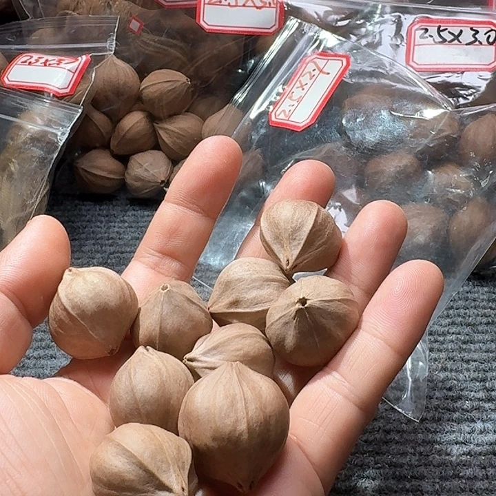 吊坠橄榄核扬***，2.5❌2.7