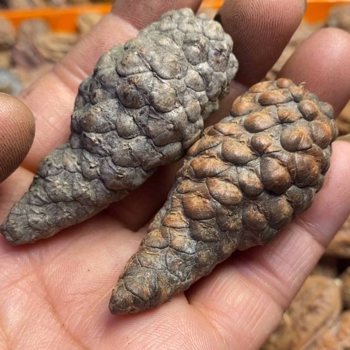 吊坠文玩核桃东北特产208