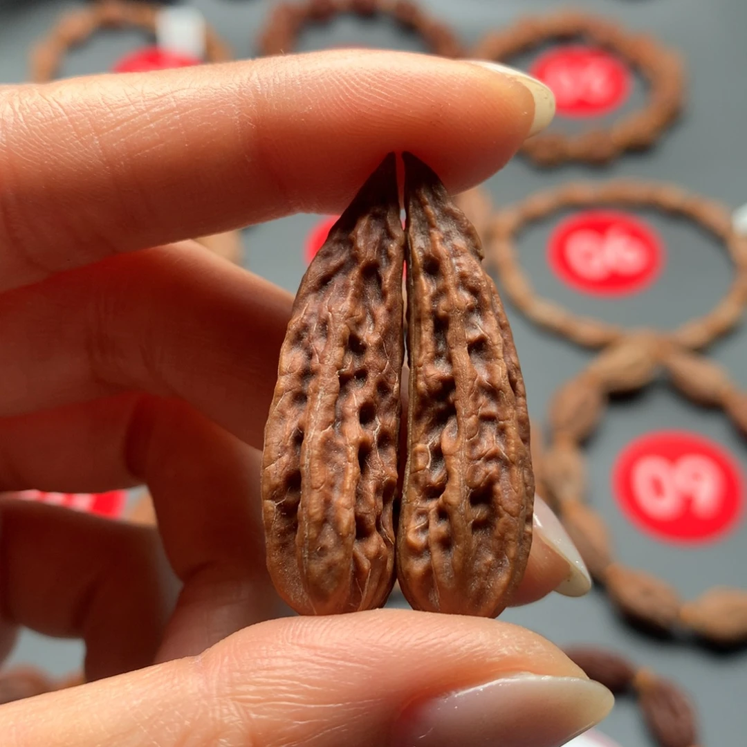 核桃5东北秋子小辣椒