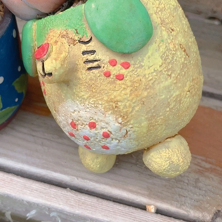 萌**婶萌面大婶盆