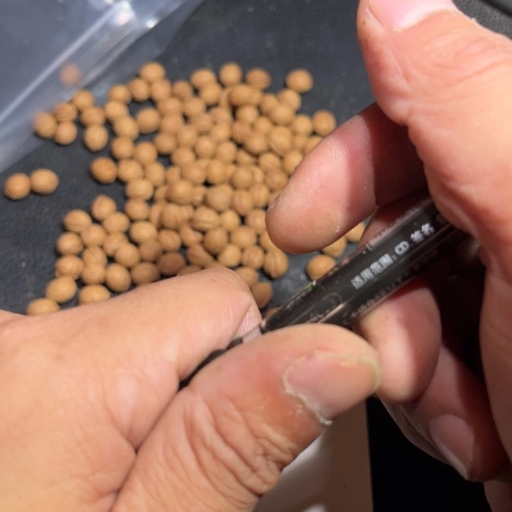 平***生吊坠桃核野生小核桃33