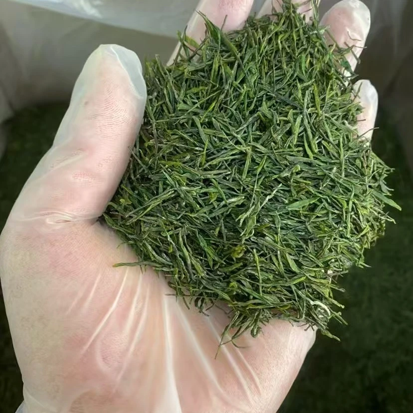 浓香耐泡绿茶2025新茶雨前春茶口粮茶正宗宜昌散装