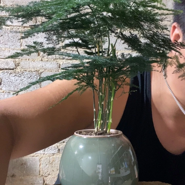 完全开放退款拉黑一物一拍215