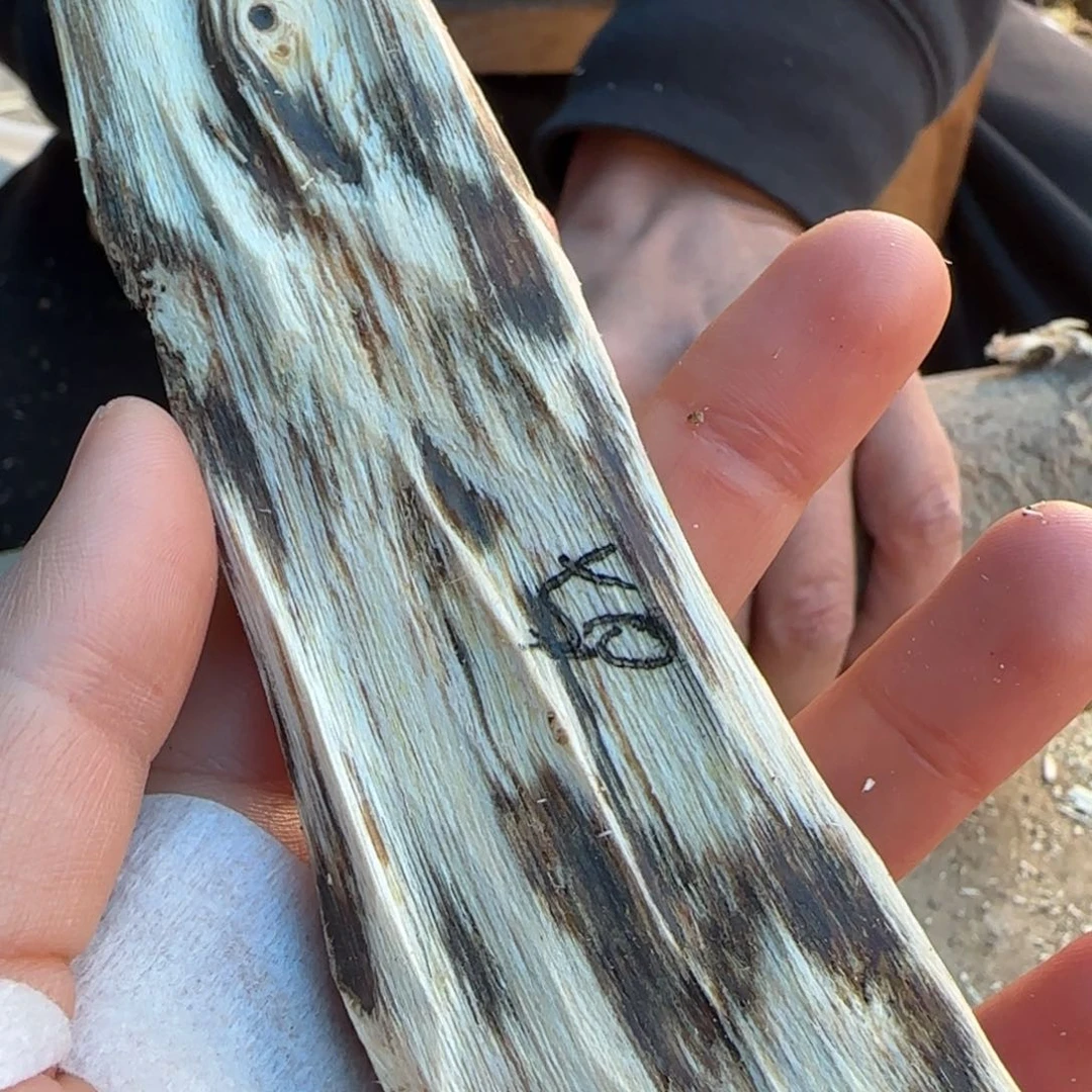 树脂制品50号奇楠原木一个