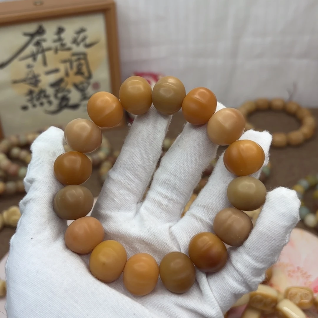 吊坠菩提根/象牙果18干磨瑕疵落地果鲨鱼背523