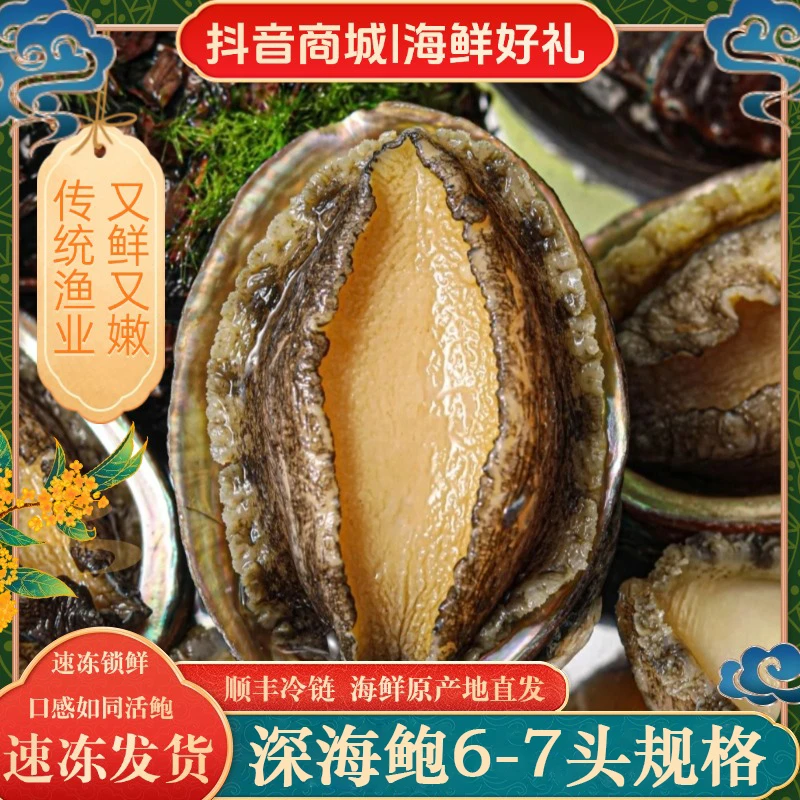 【丰鲍】6-7头鲍鱼7-8cm左右 东山岛深海冷链速冻鲍鱼