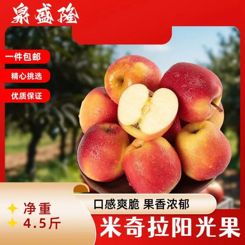甘肃米奇拉早熟嘎啦苹果4.5斤 阳光果 脆粉两吃 新鲜水果现采现发