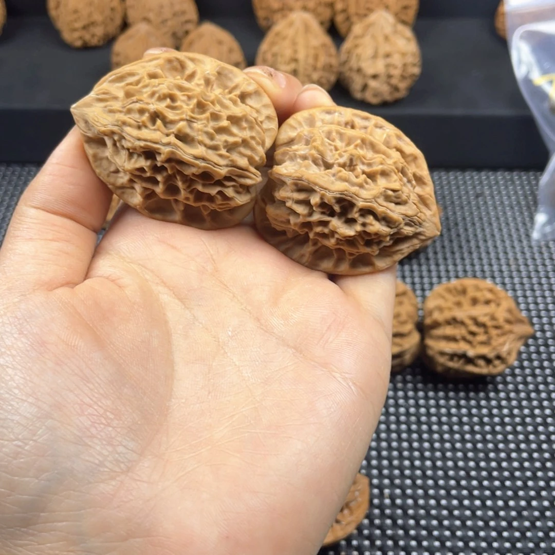 芭****海秦岭神树秦闷小王