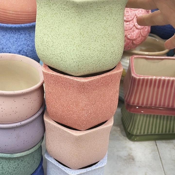 多肉植物陶瓷花盆