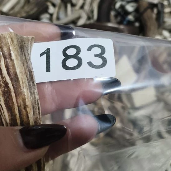 菜***羊鹿角鹿角鹿角鹿角鹿角鹿角