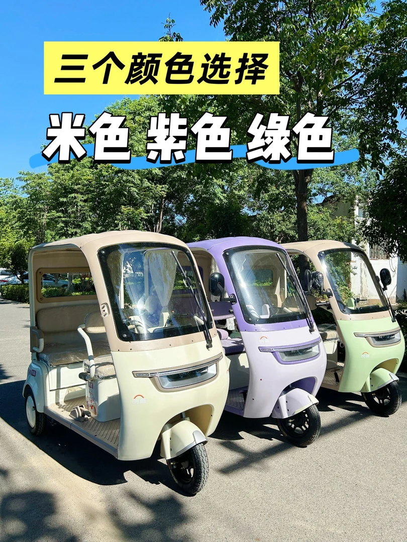 一体棚三轮车带雨帘*无电瓶*仅限自提