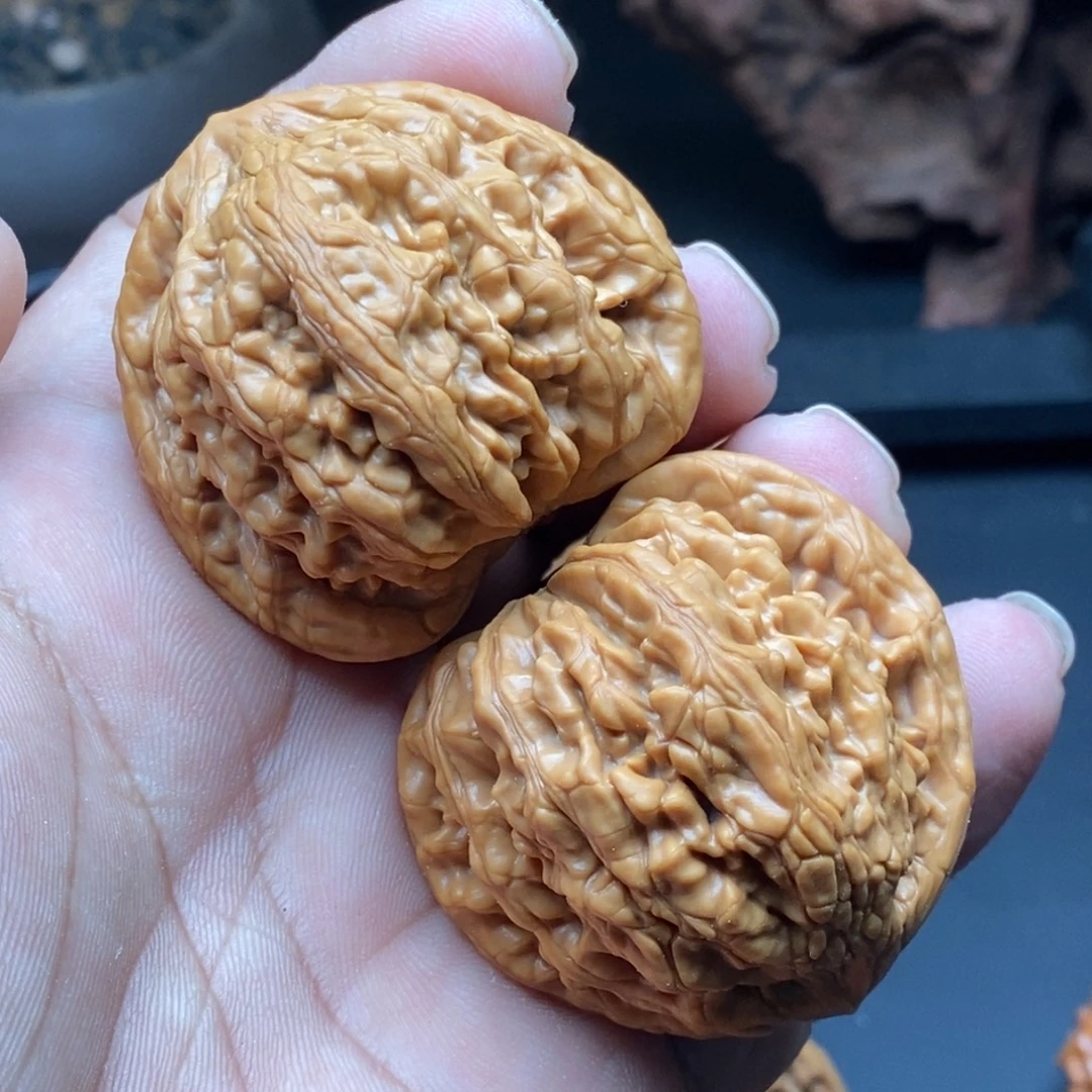 核桃蓟县虎头王……