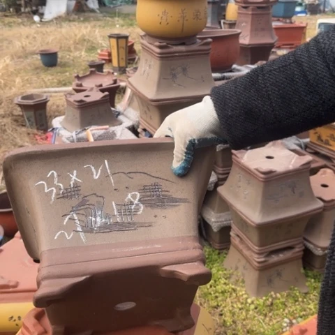 紫砂花盆紫砂花盆盆景盆栽