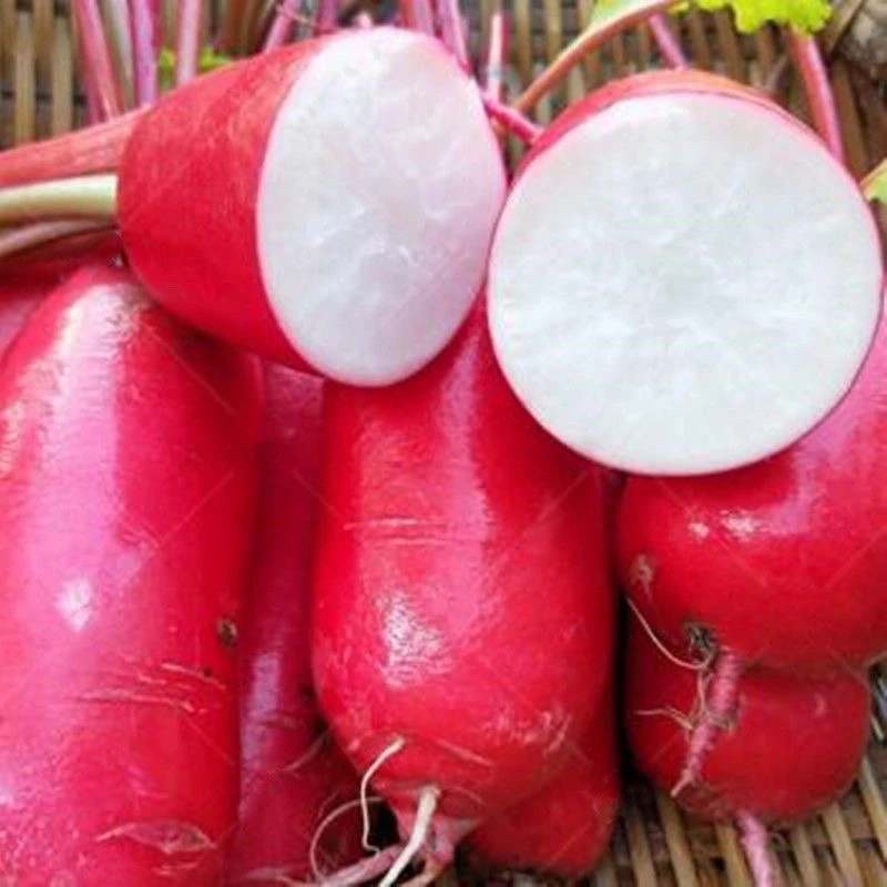 C红皮白肉萝卜500克(1个多退少补)萝卜