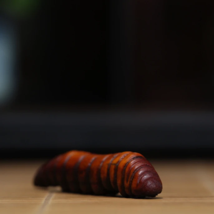 毛毛虫 鹿角雕刻 方颜作品 纯手工 配饰挂件 手把件