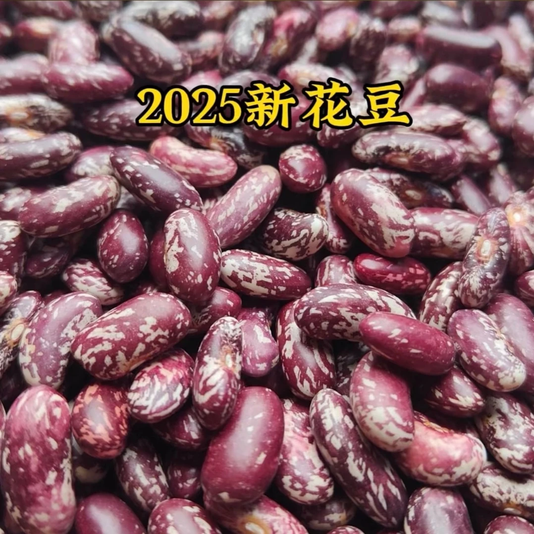 贵州花豆2025新豆米贵州本地农家新花豆