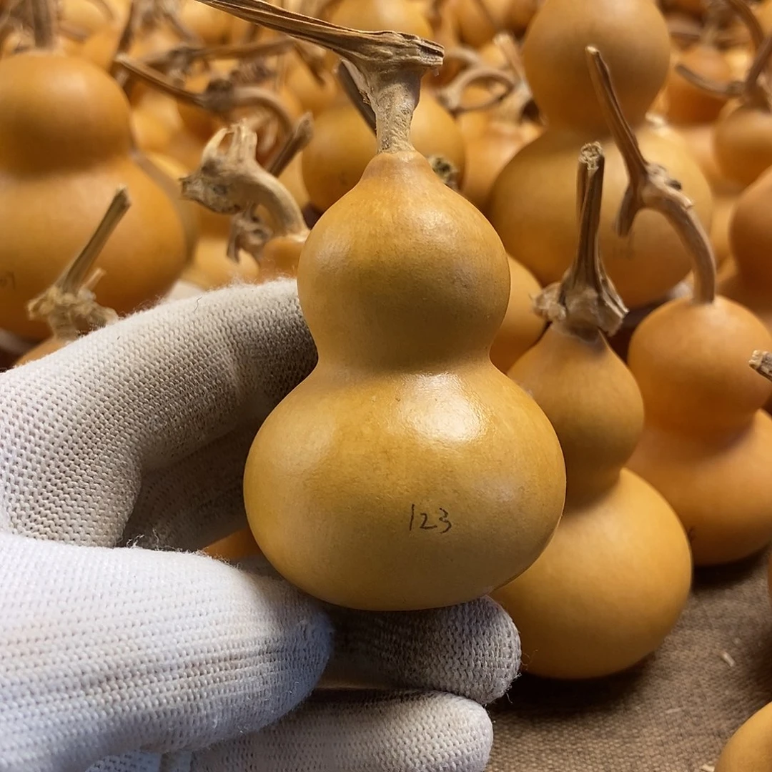 文玩葫芦 完美主义者 慎拍123