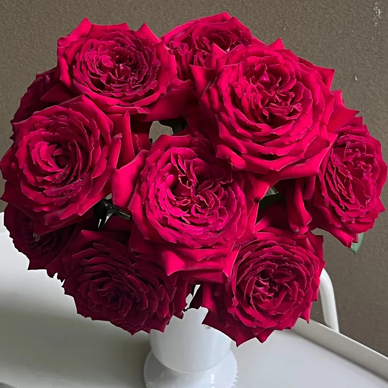 【恩钿夫人】玫瑰【3单包邮顺丰空运/95%市区次日达】