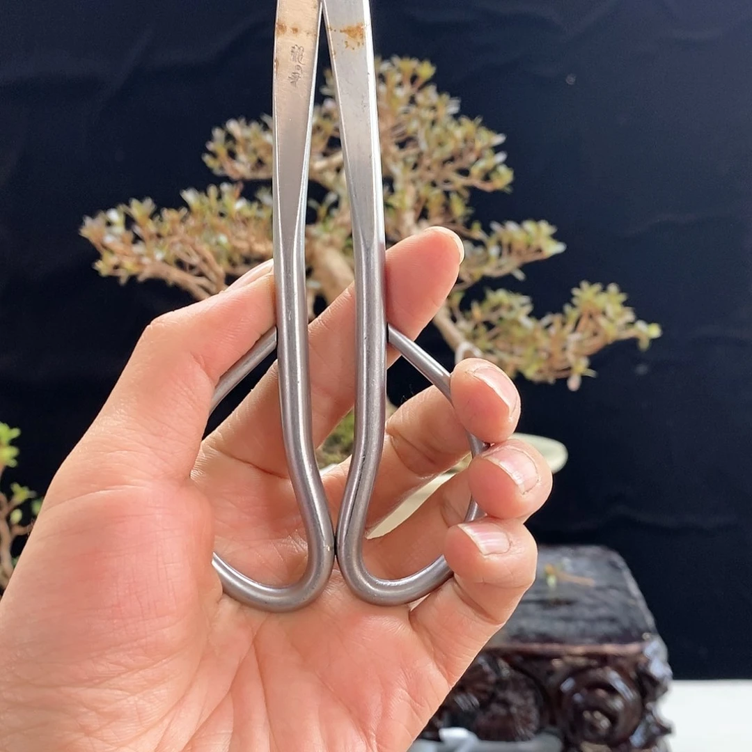 红陶龙牙断丝钳。。