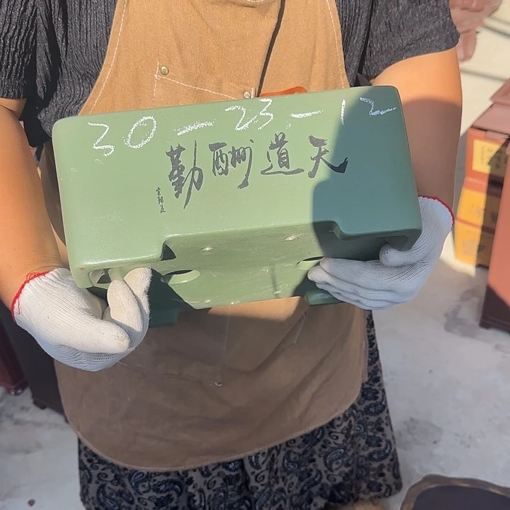 真的想看这篇视频啦