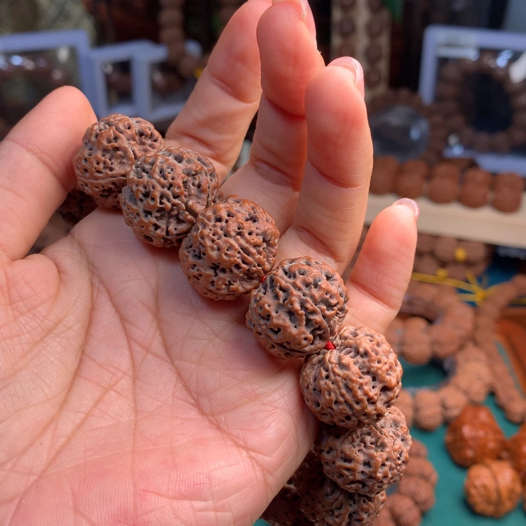 ****"金刚菩提手串蜂王